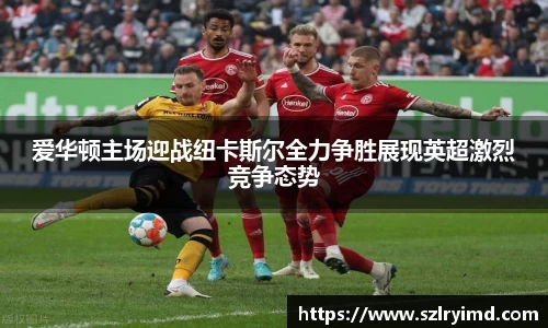 庄闲官网