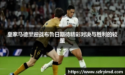 庄闲官网