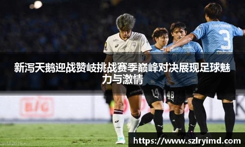 AG庄闲网站